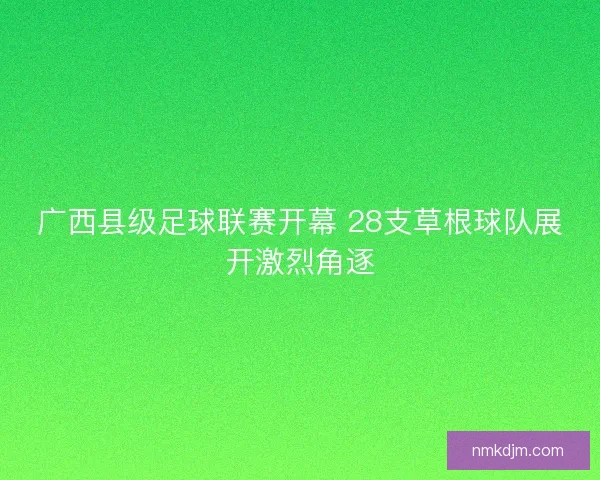 广西县级足球联赛开幕 28支草根球队展开激烈角逐