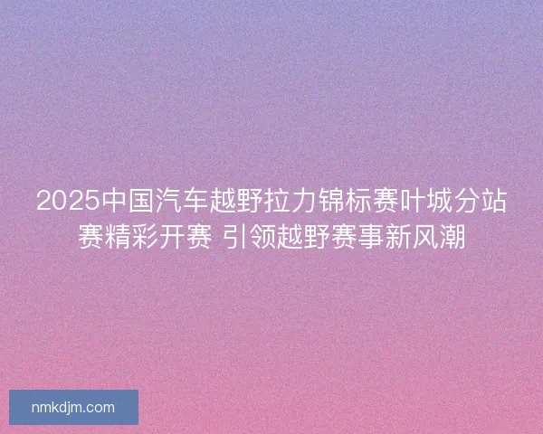 2025中国汽车越野拉力锦标赛叶城分站赛精彩开赛 引领越野赛事新风潮